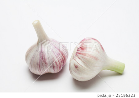 Garlics on white background 25196223