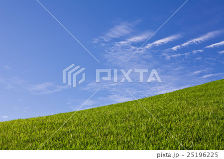 Horizon line, green grass field and blue sky Horizon line, green grass field and blue sky 25196225