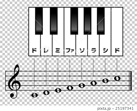 Doremifa Solaside的規模：Torisa標誌 25197341