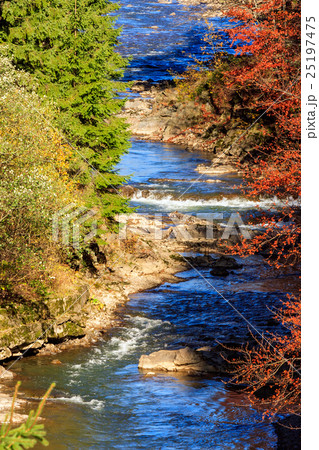 river flows by rocky shore near the autumn forest 25197475