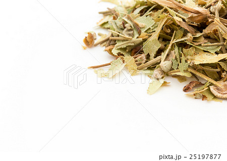 紅茶用リンデン・フラワー: Linden flower 25197877