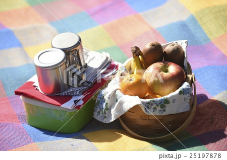 ピクニック 25197878