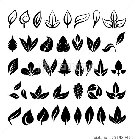 Leaf icon vector illustration. 25198947