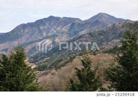 大界木山より望む西丹沢の山々 25200418