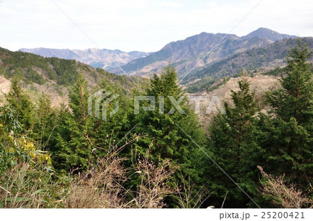 大界木山付近からの展望 25200421