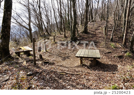 甲相国境尾根 城ヶ尾峠 25200423