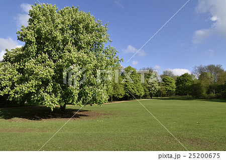 イギリスの田園都市:レッチワースの公園、ノートンコモン イギリスの田園都市:レッチワースの公園、ノートンコモン 25200675