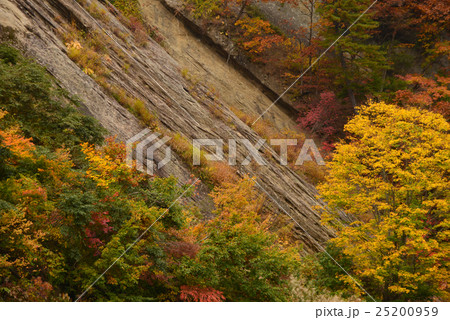 紅葉のケスタ地形の写真素材 [25200959] PIXTA