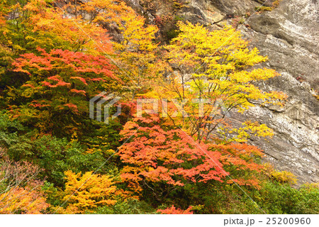 紅葉のケスタ地形 紅葉のケスタ地形 25200960