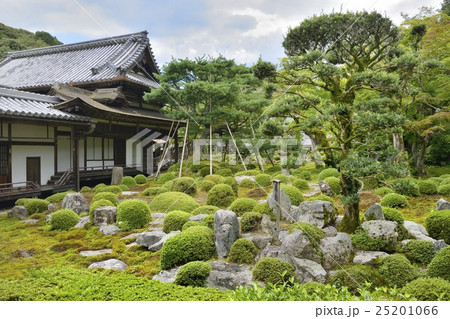 金剛寺　観蔵院庭園　奥河内 25201066