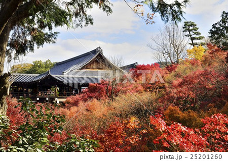 東福寺 通天橋 紅葉 東福寺 通天橋 紅葉 25201260