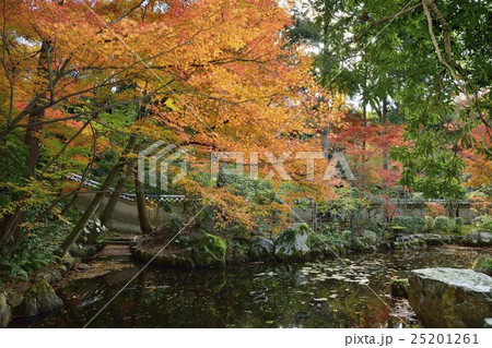 臥雲山　即宗院　日本庭園　紅葉 25201261
