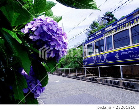 四季の鉄道・夏 25201816