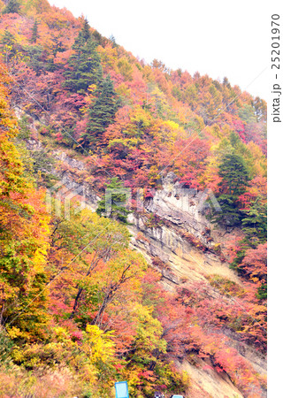 錦秋の奥裾花渓谷 錦秋の奥裾花渓谷 25201970