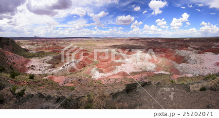 Painted Desert 25202071