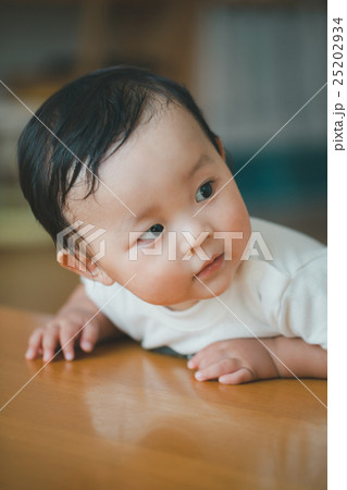 11 months old 11 months old 25202934