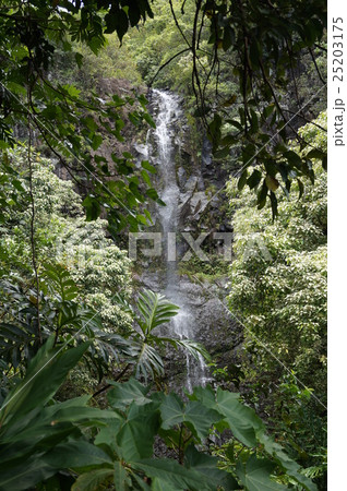 マウイ島　ハナハイウェイから見たワイルア滝 25203175