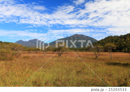 小田代ヶ原　草紅葉と男体山 25203533