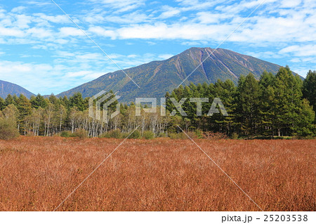 小田代ヶ原　草紅葉と男体山 25203538