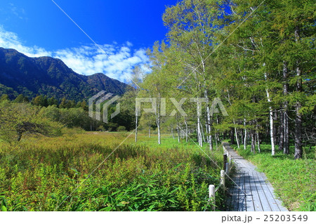 戦場ヶ原自然研究路（小田代ヶ原付近） 25203549