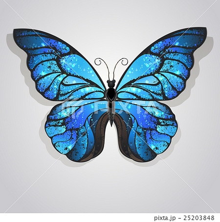 Blue Butterfly Morphoのイラスト素材