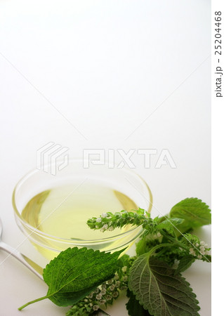 エゴマ油 25204468