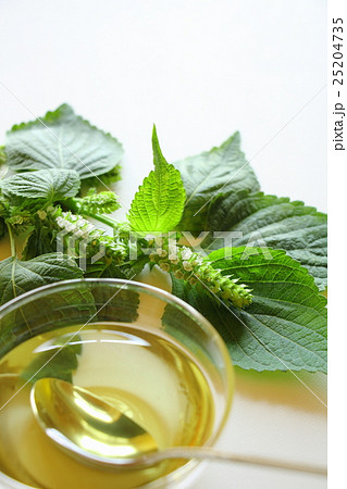 エゴマ油 25204735