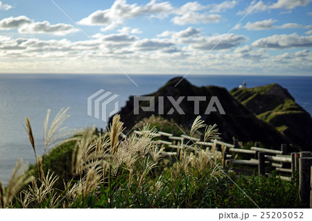 神威岬の秋の夕暮れ 25205052