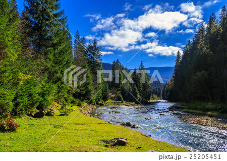river flows by rocky shore near the autumn  25205451