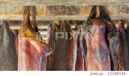 Iceland's fermented shark 25206536