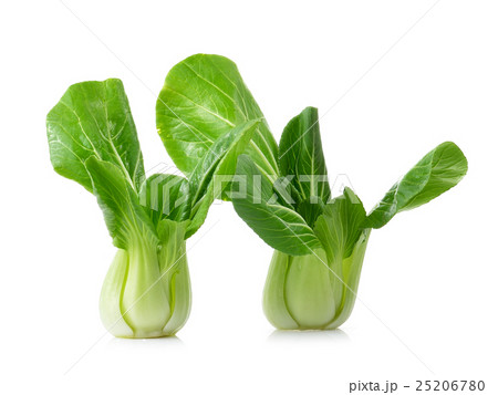 Bok choy on white background 25206780