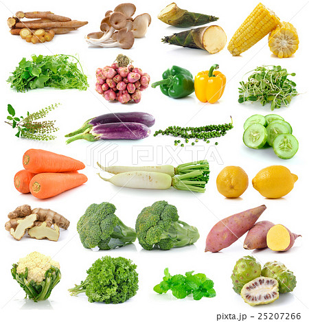 set of vegetable isolated on white background set of vegetable isolated on white background 25207266