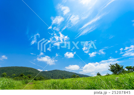比婆山、大膳原の大草原（広島県庄原市、比婆山~吾妻山） 25207845