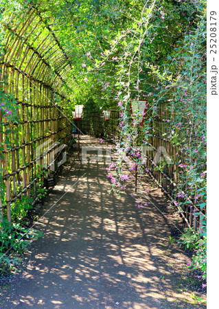 向島百花園の萩のトンネル 10月 東京都墨田区の写真素材