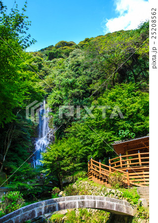 新緑の清水の滝 佐賀県小城市の写真素材