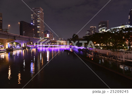 【大阪】中之島ガーデンブリッジの夜景（鉾流橋） 25209245