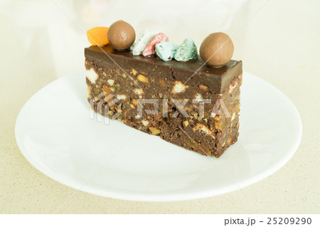 Tasty chocolate cake  25209290