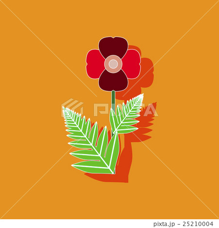 paper sticker on background of papaver 25210004