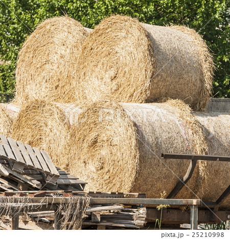 Farm cart with hay bales 25210998
