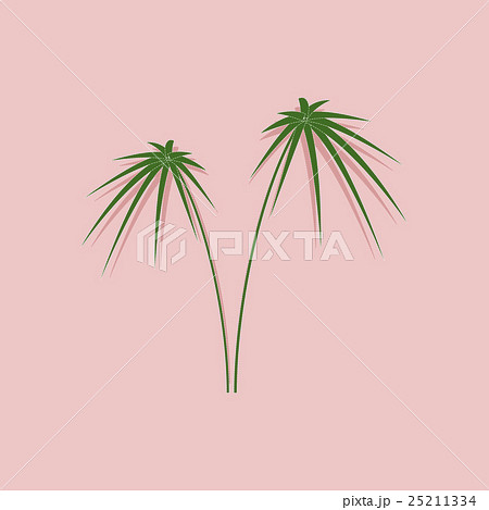 paper sticker on stylish background plant Cyperus 25211334