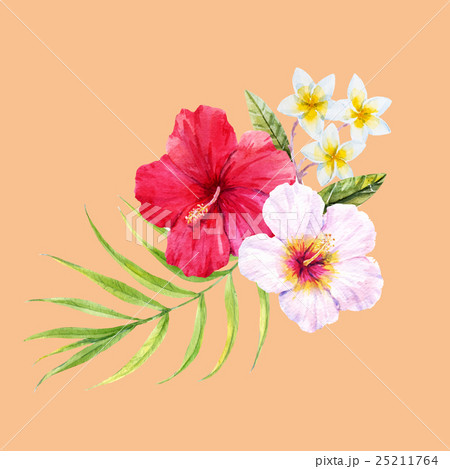 Watercolor tropical composition 25211764