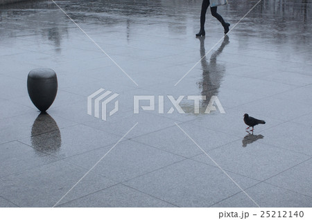 Walking in the rain 25212140