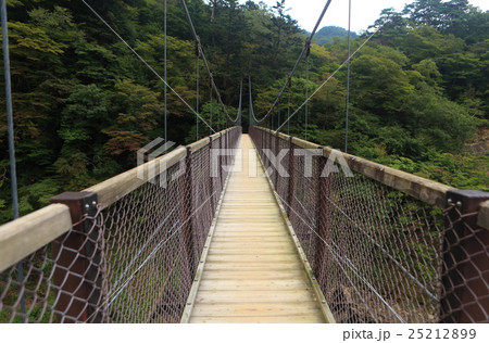 回顧の吊橋 回顧の吊橋 25212899