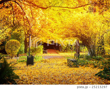 Fall park path Fall park path 25213297