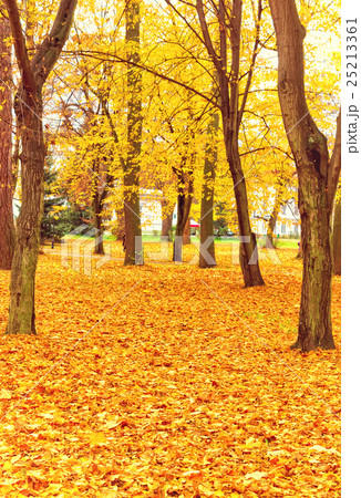 fall park fall park 25213361