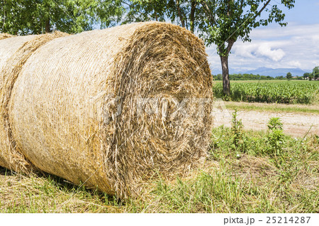 Hay bales. 25214287