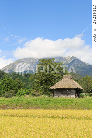 稲穂と茅葺き小屋のある風景 9月 稲穂と茅葺き小屋のある風景 9月 25216113