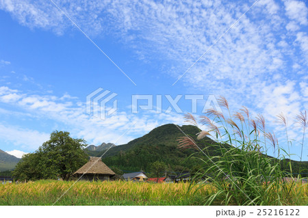 ススキと茅葺き小屋のある風景　9月 25216122