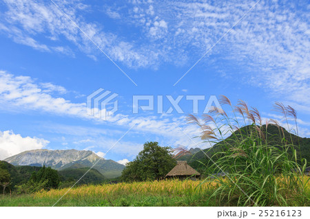 ススキと茅葺き小屋のある風景 9月 ススキと茅葺き小屋のある風景 9月 25216123