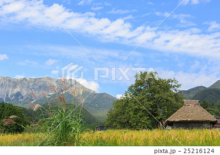 ススキと茅葺き小屋のある風景 9月の写真素材